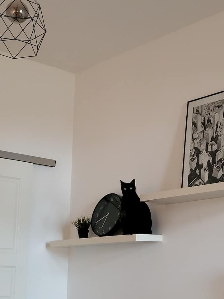Katze zu Besuch - nicht Teil des Interriors :D Gut erzogene Haustiere sind bei uns auch willkommen.