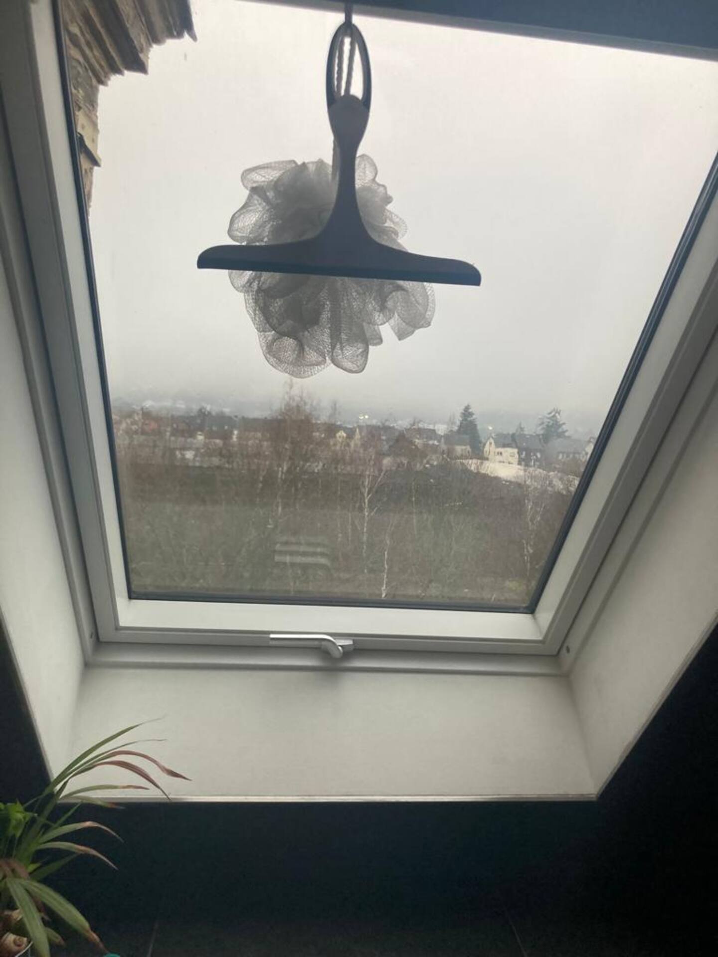 Badezimmer: Duschen mit Aussicht.