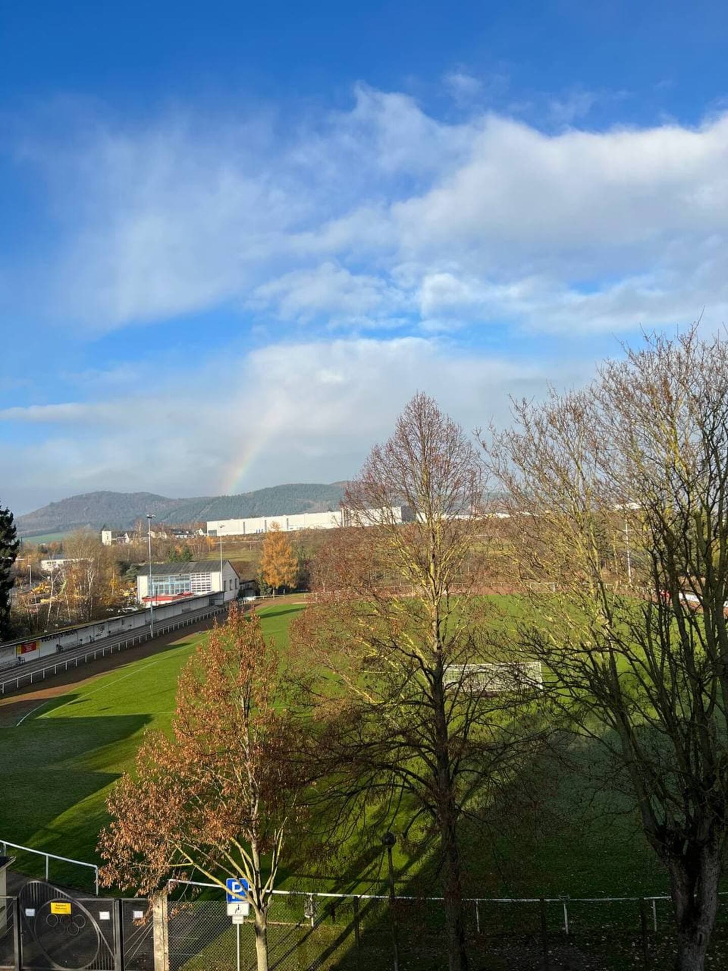 Blick auf den Garten