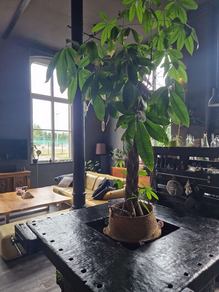 Wohnzimmer 1 Bild 24